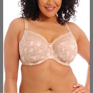 Elomi Cream Lace Full Coverage Bra